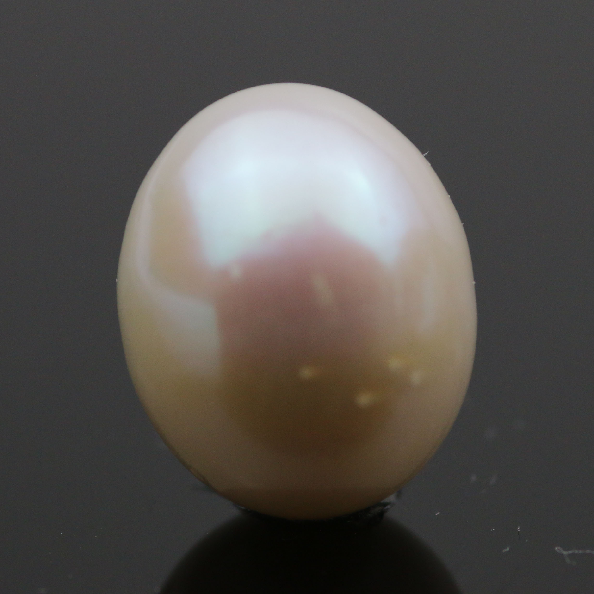 UNDRILLED FRESH WATER PEARL 16X13 FREEFORM