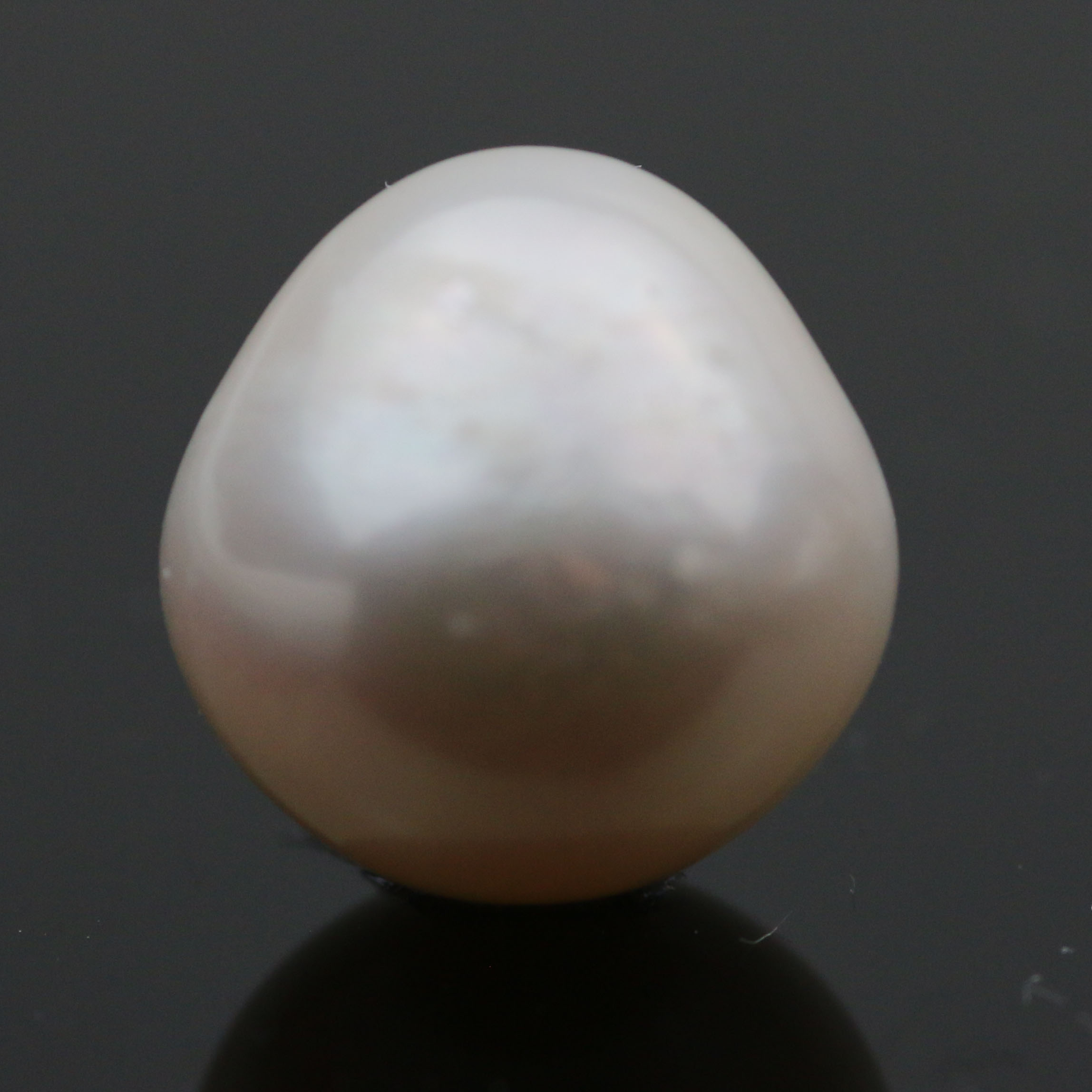 UNDRILLED FRESH WATER PEARL 14X14 FREEFORM