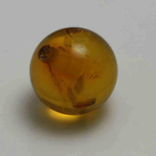 6MM SMOOTH ROUND BEAD HALF DRILLED AMBER