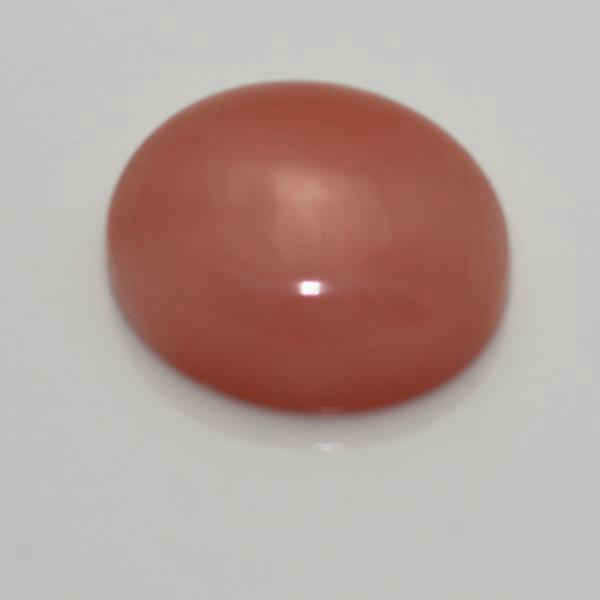 4X3 PINK OVAL CORAL