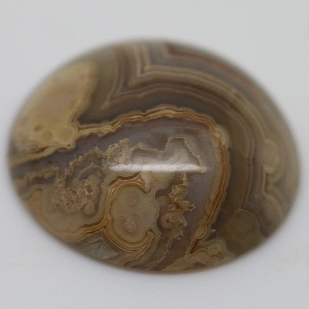 MEXICAN LACE AGATE 12MM ROUND